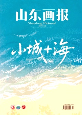 山东画报杂志